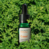 Good Geranium Essential Oil