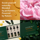 Mini Essential Oil Blends Set