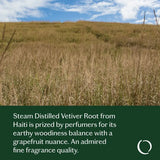 Balanced Vetiver Essential Oil
