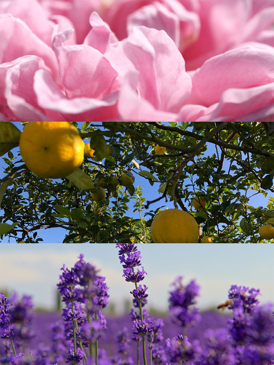 Essential Oil Blends
