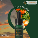 Mini Essential Oil Blends Set