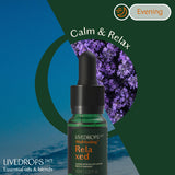 Mini Essential Oil Blends Set