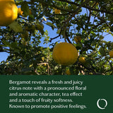 Good Essential Oil Blend