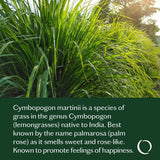 Good Essential Oil Blend