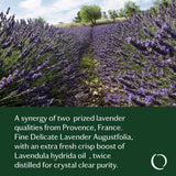 Relaxed Lavender Essential Oil