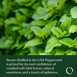 Confident Peppermint Essential Oil