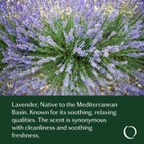 Sleep Good Essential Oil Blend